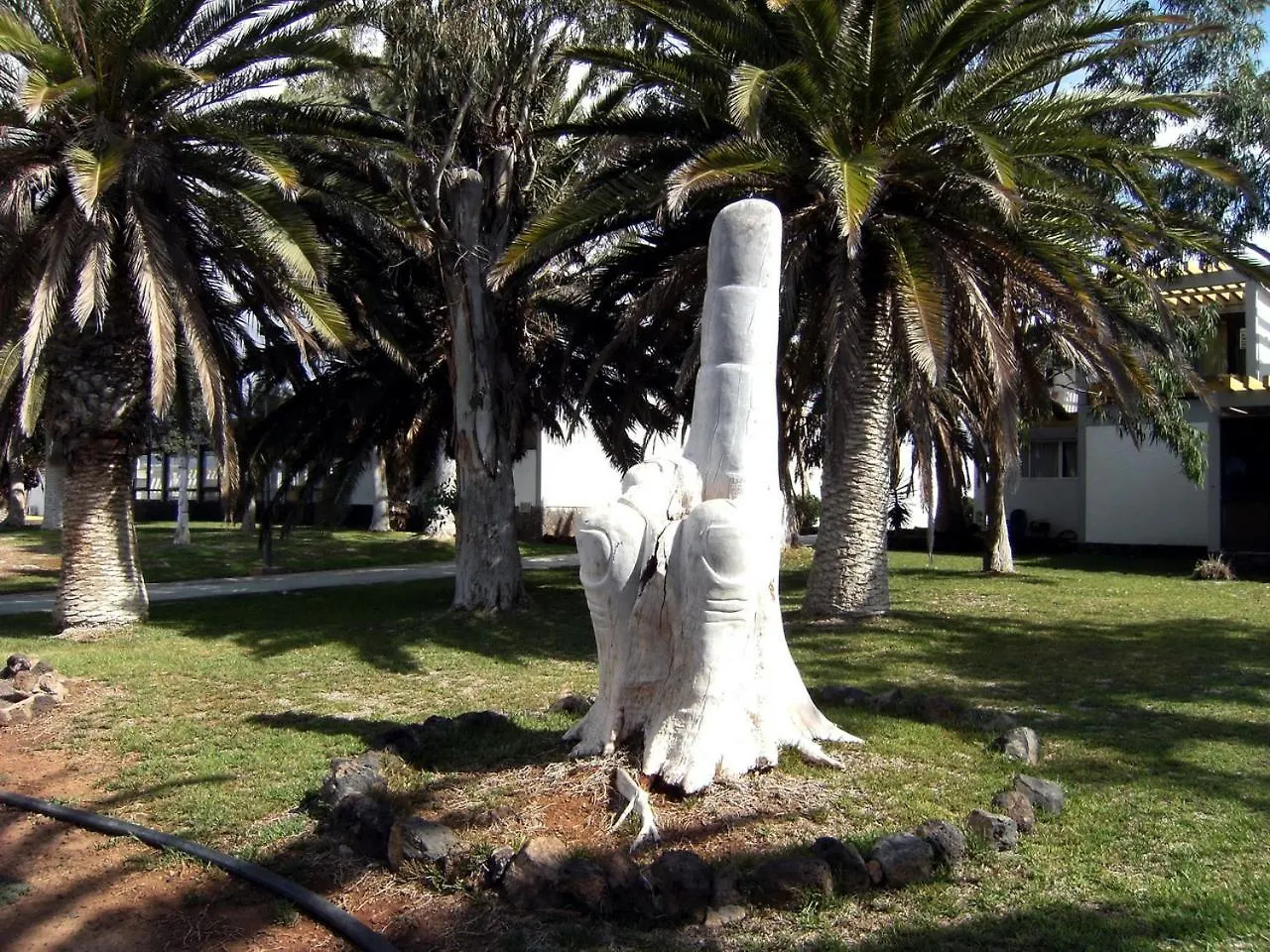 Nice Studio In The South Of Tenerife In The Costa Del Silencio Spain